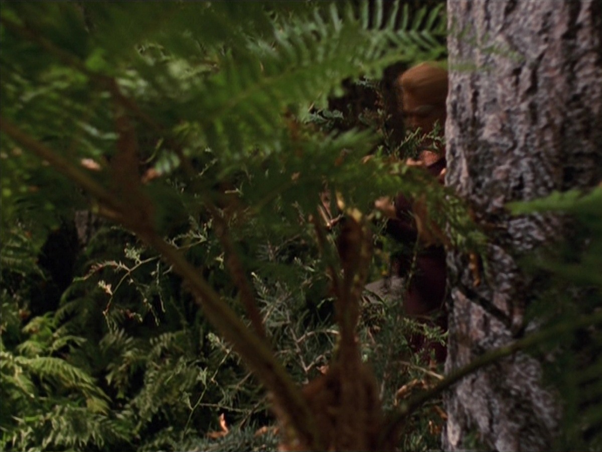 extant_StarTrek_VOY_7x22-NaturalLaw_1377.jpg