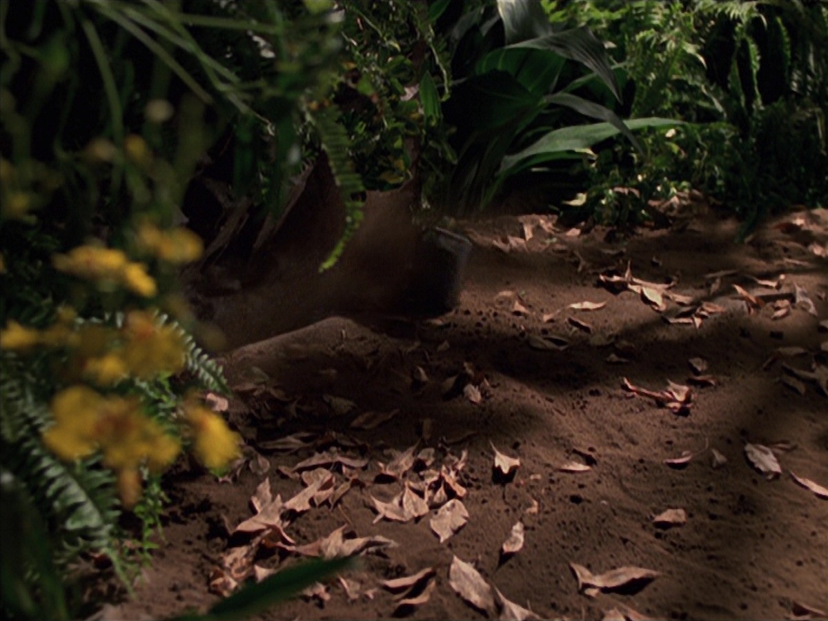 extant_StarTrek_VOY_7x22-NaturalLaw_1390.jpg