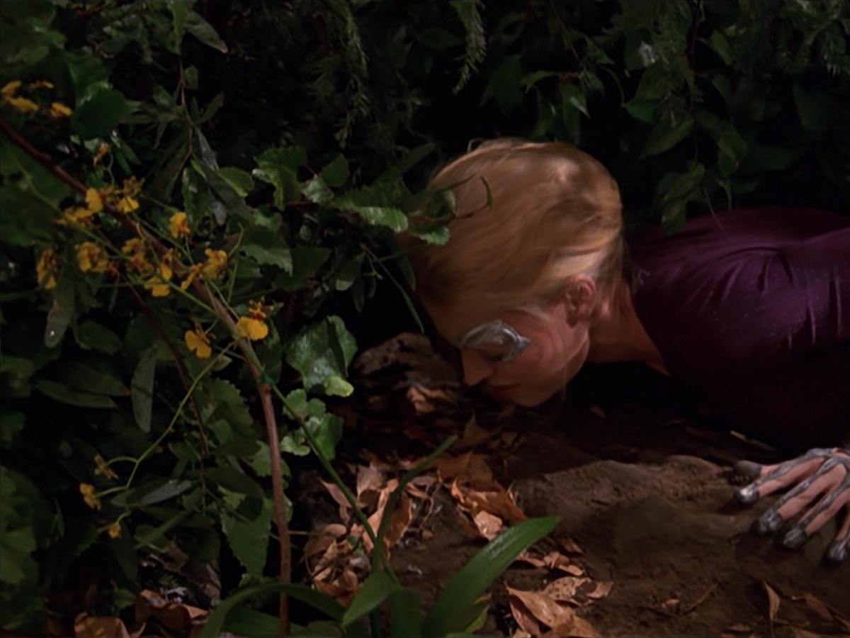 extant_StarTrek_VOY_7x22-NaturalLaw_1406.jpg