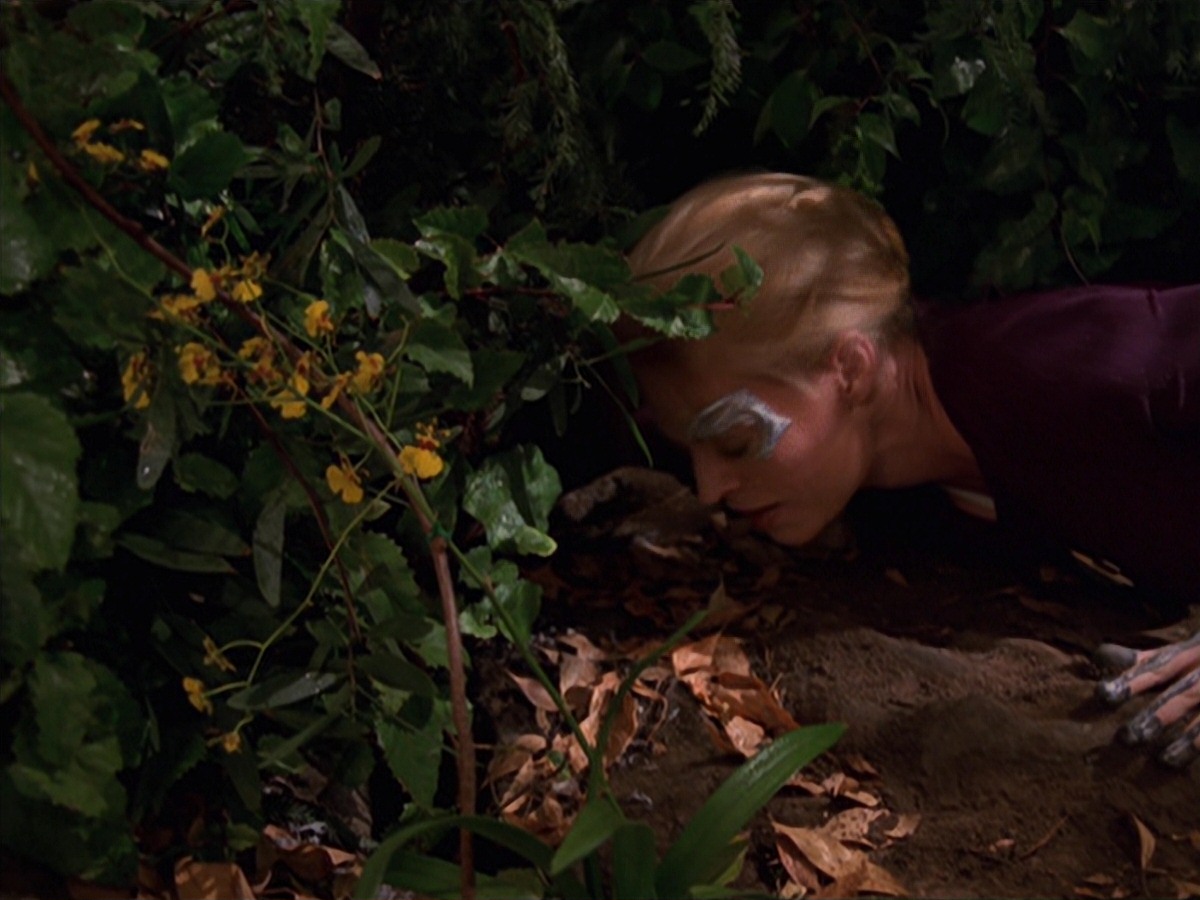 extant_StarTrek_VOY_7x22-NaturalLaw_1412.jpg