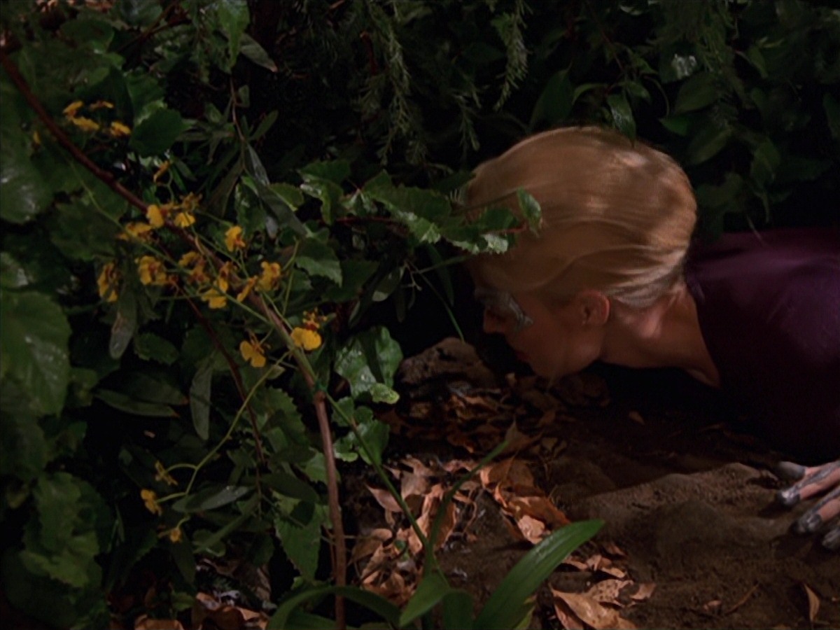 extant_StarTrek_VOY_7x22-NaturalLaw_1414.jpg