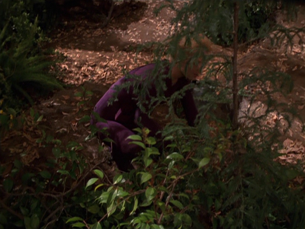 extant_StarTrek_VOY_7x22-NaturalLaw_1416.jpg