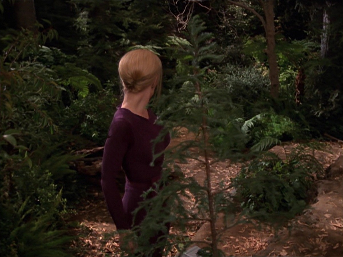 extant_StarTrek_VOY_7x22-NaturalLaw_1420.jpg