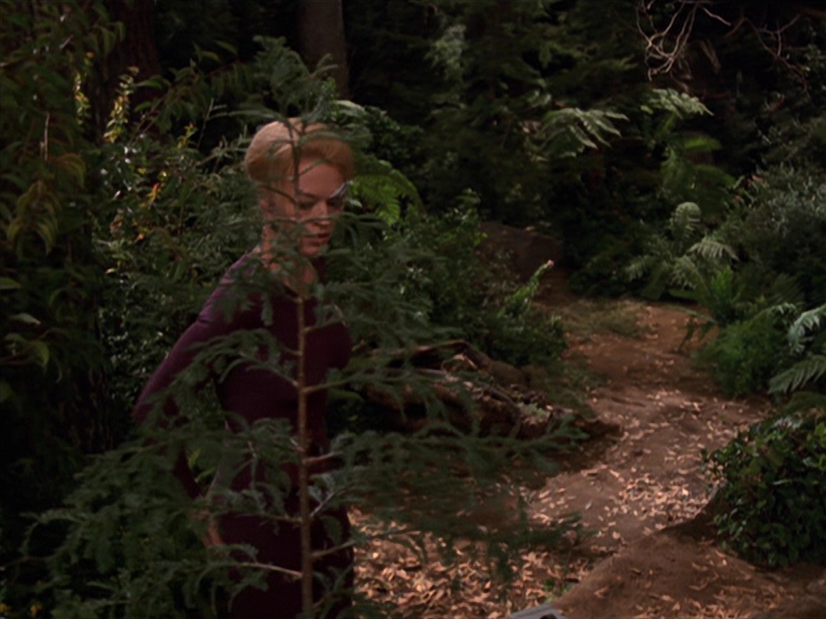 extant_StarTrek_VOY_7x22-NaturalLaw_1424.jpg