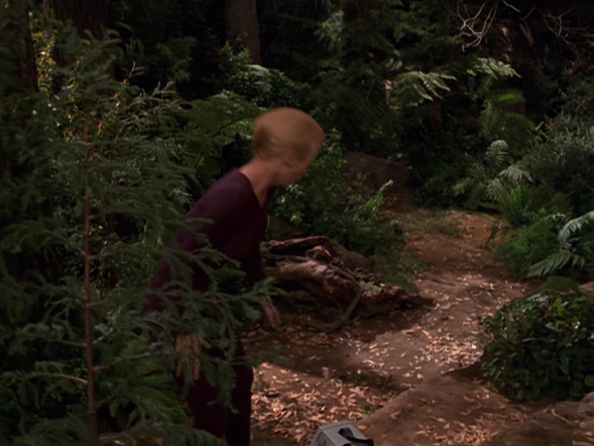 extant_StarTrek_VOY_7x22-NaturalLaw_1426.jpg