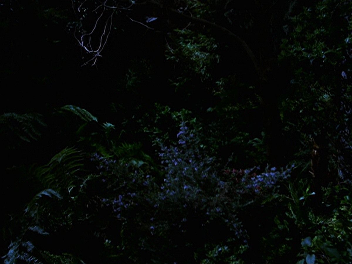 extant_StarTrek_VOY_7x22-NaturalLaw_1486.jpg