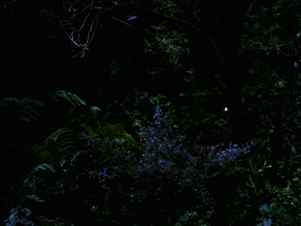 extant_StarTrek_VOY_7x22-NaturalLaw_1487.jpg