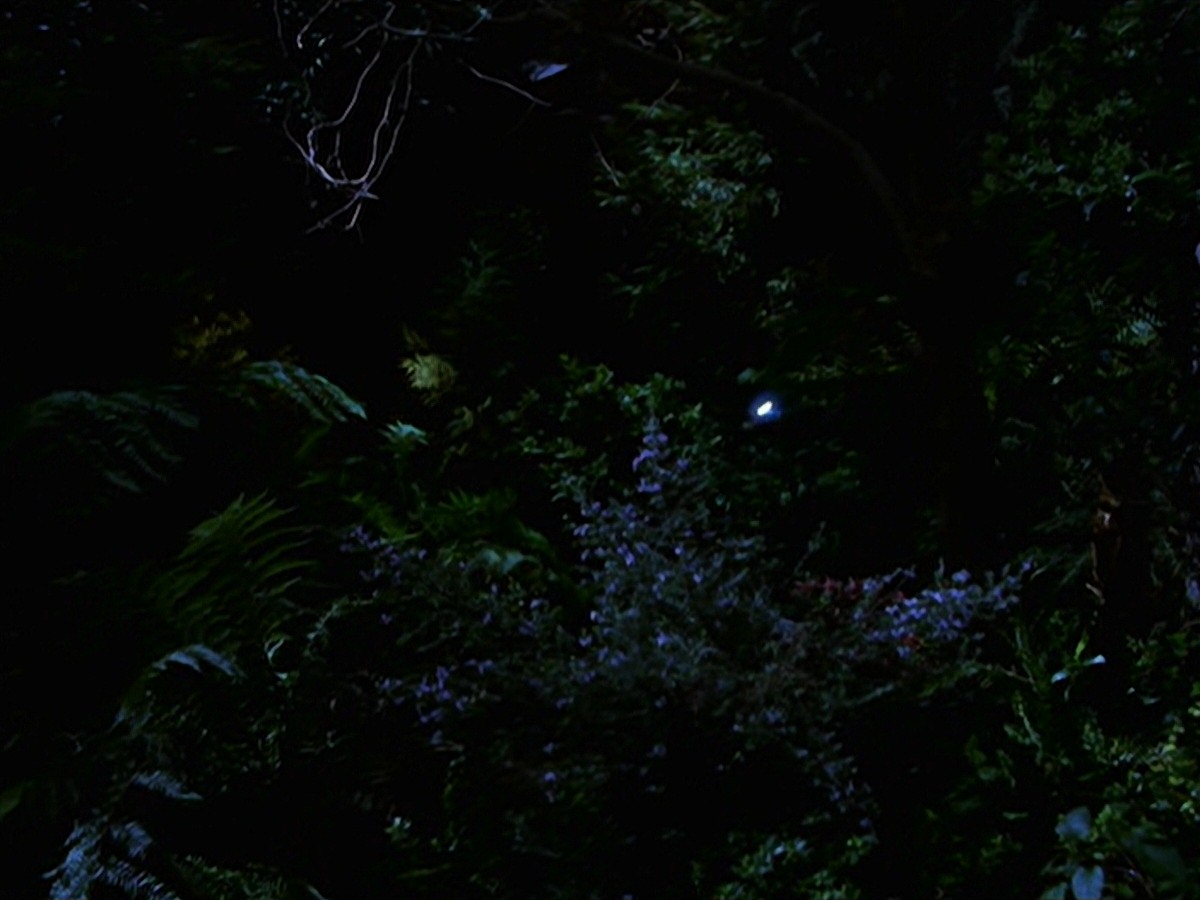 extant_StarTrek_VOY_7x22-NaturalLaw_1488.jpg