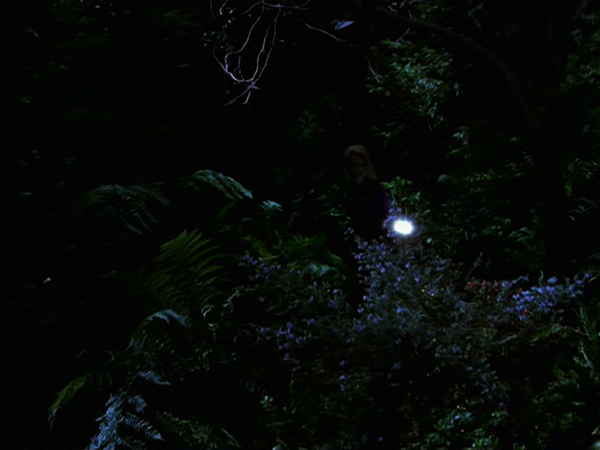 extant_StarTrek_VOY_7x22-NaturalLaw_1491.jpg