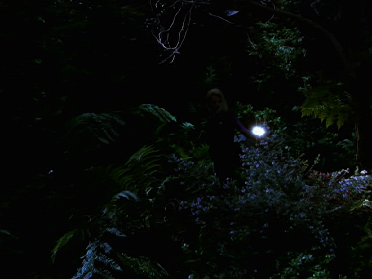 extant_StarTrek_VOY_7x22-NaturalLaw_1492.jpg