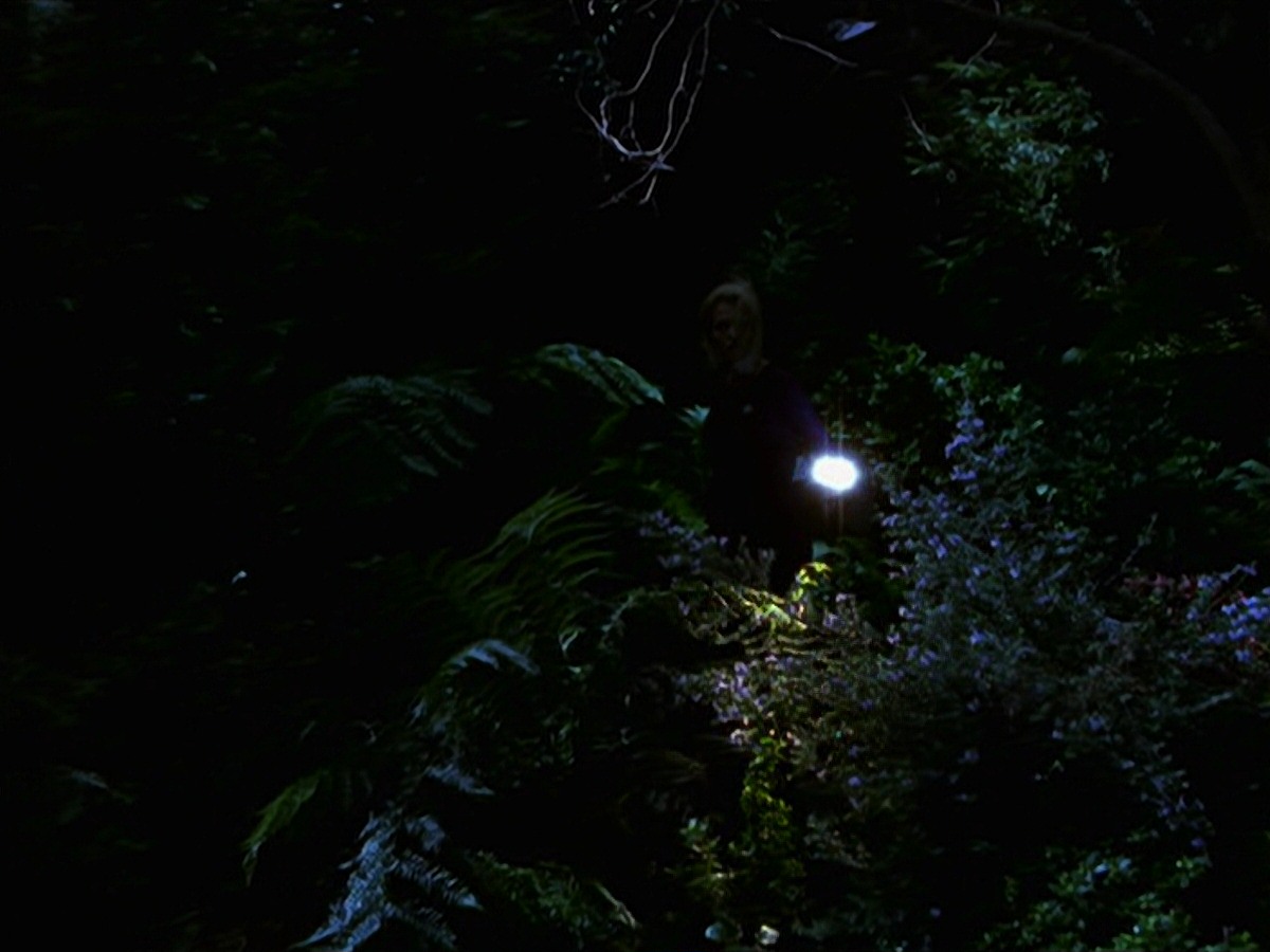 extant_StarTrek_VOY_7x22-NaturalLaw_1493.jpg