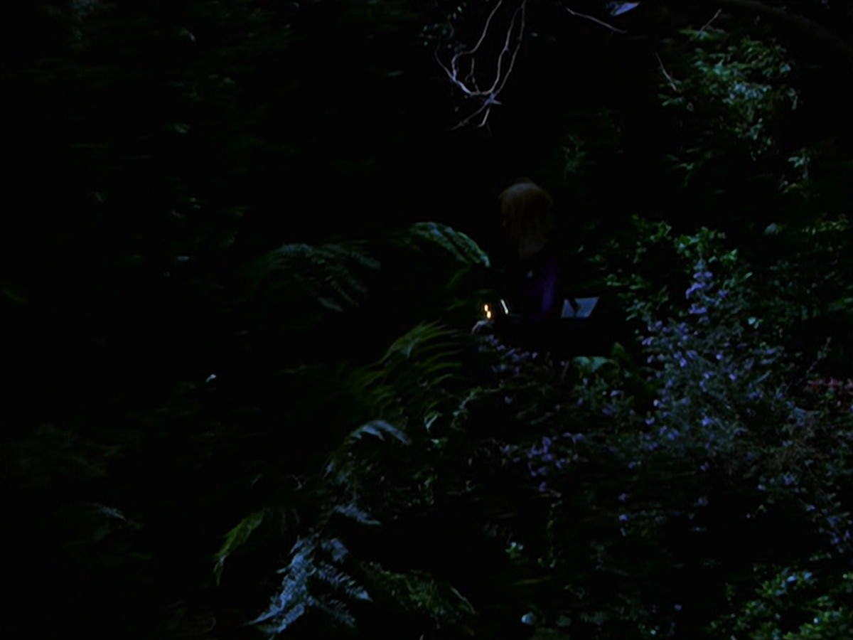 extant_StarTrek_VOY_7x22-NaturalLaw_1494.jpg