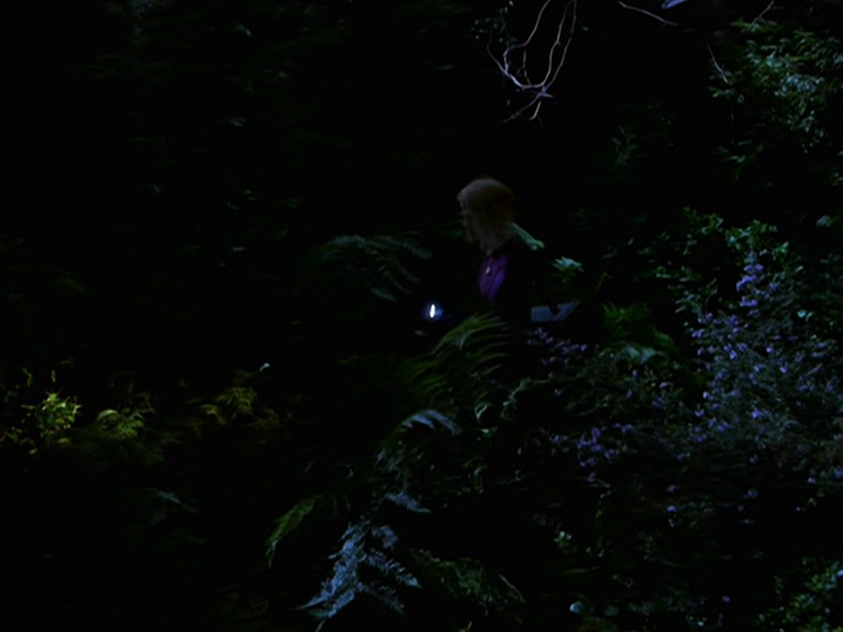 extant_StarTrek_VOY_7x22-NaturalLaw_1495.jpg