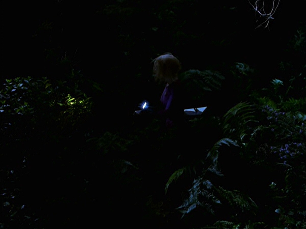 extant_StarTrek_VOY_7x22-NaturalLaw_1499.jpg