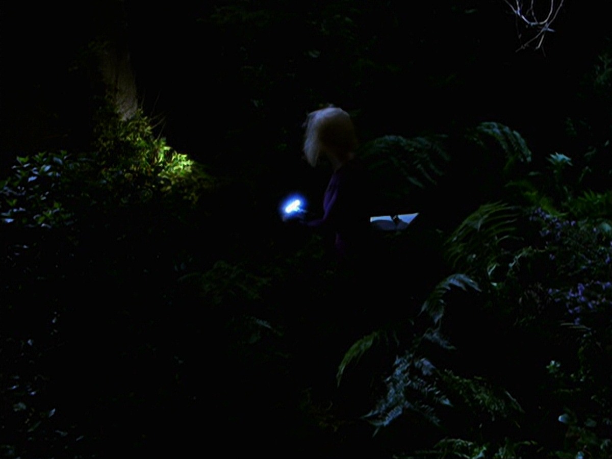 extant_StarTrek_VOY_7x22-NaturalLaw_1500.jpg