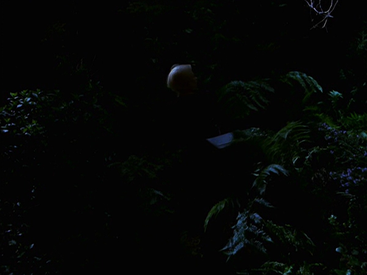 extant_StarTrek_VOY_7x22-NaturalLaw_1501.jpg