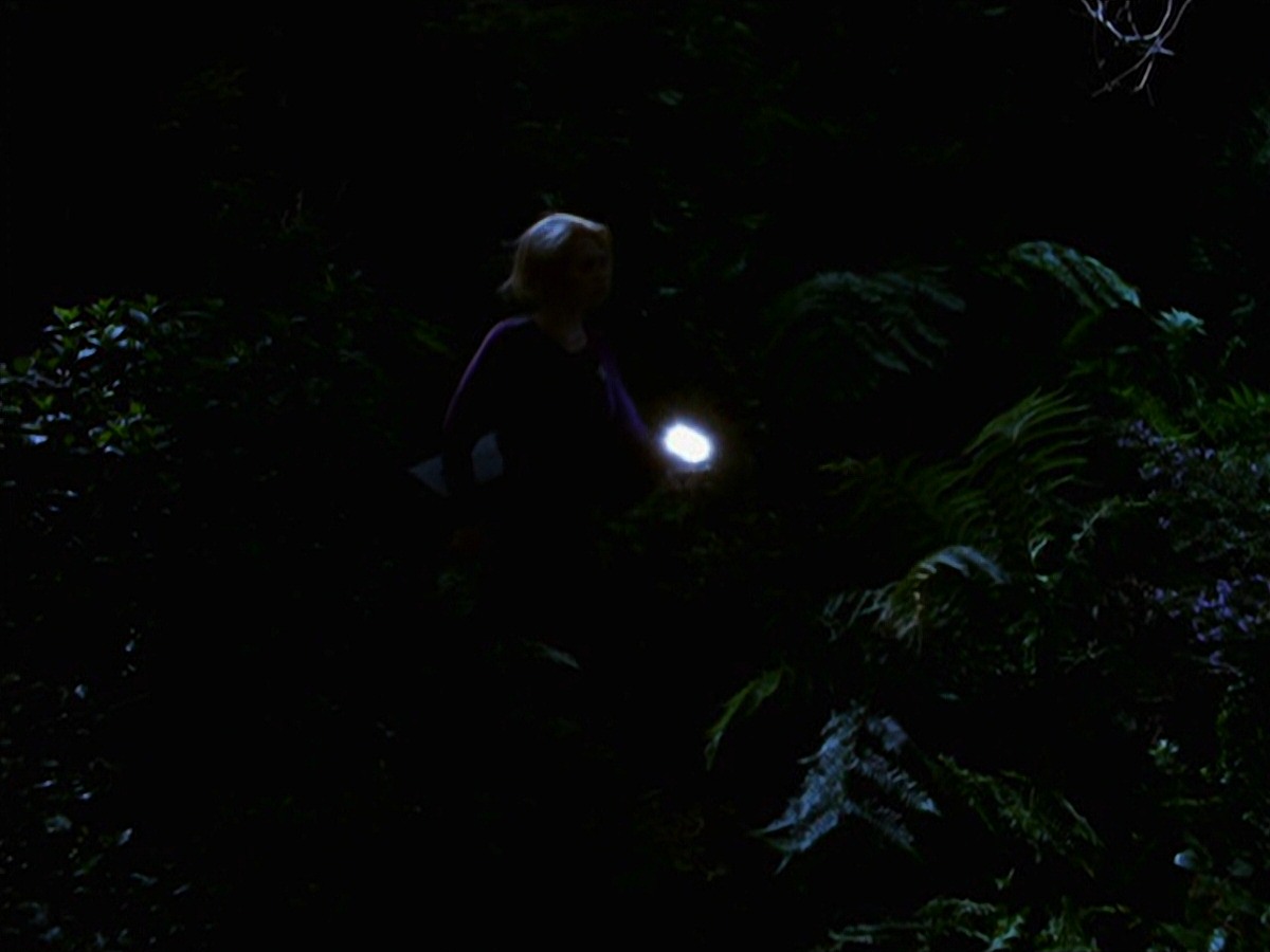 extant_StarTrek_VOY_7x22-NaturalLaw_1504.jpg