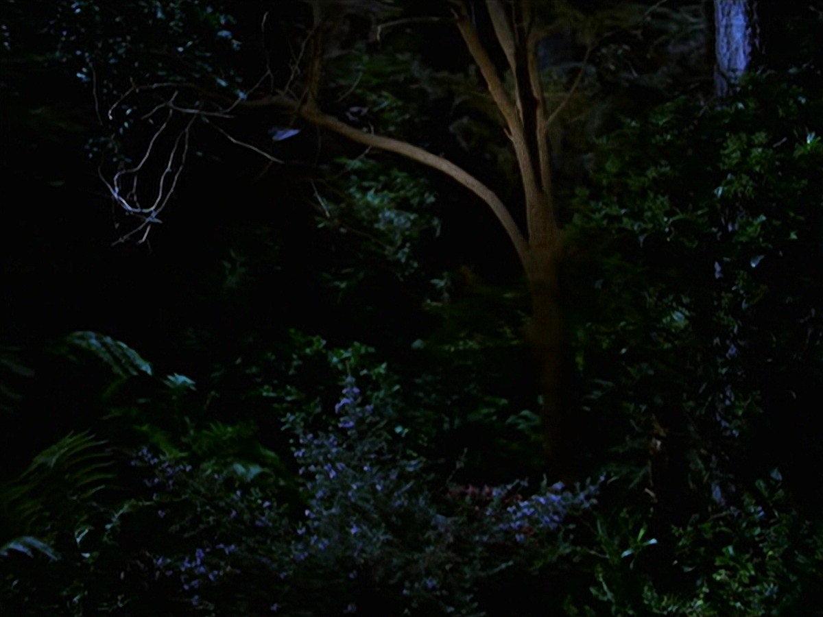 extant_StarTrek_VOY_7x22-NaturalLaw_1516.jpg