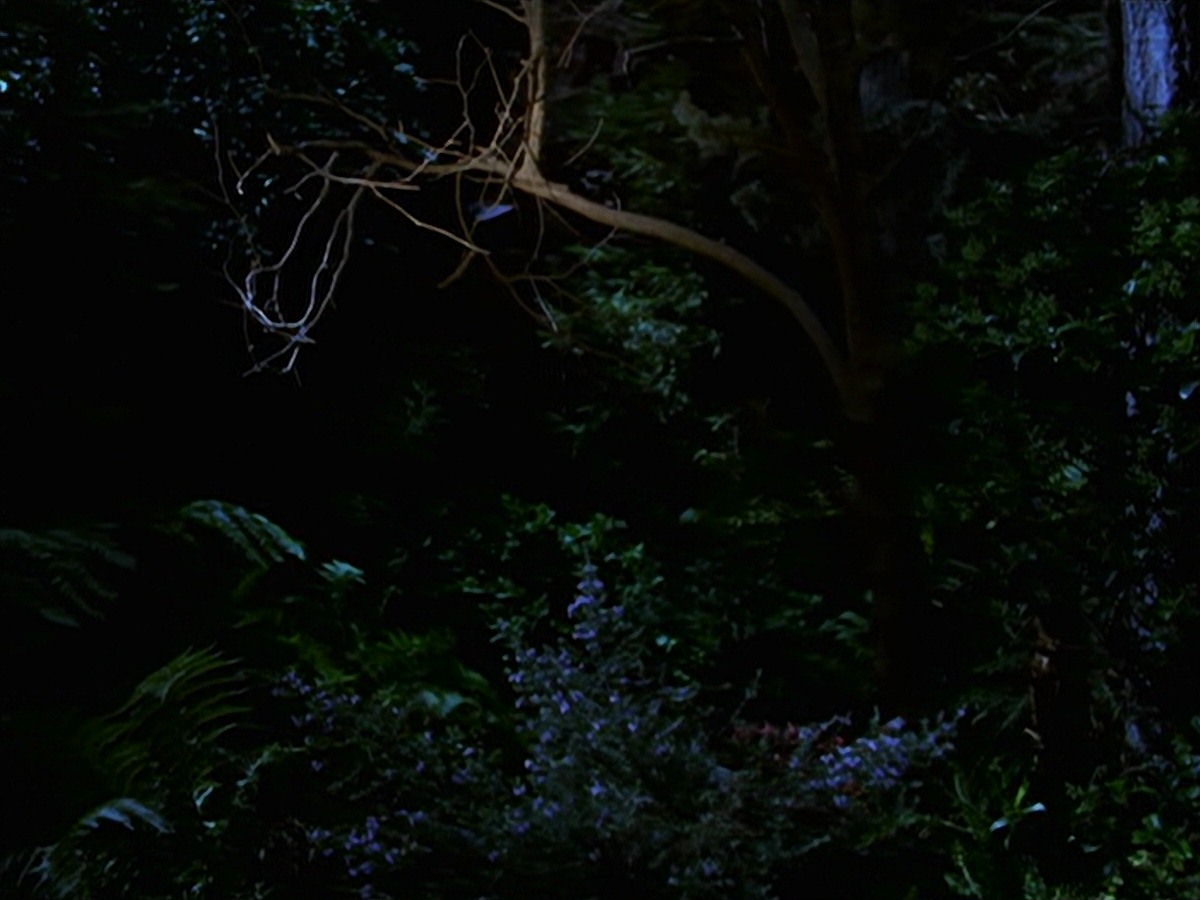 extant_StarTrek_VOY_7x22-NaturalLaw_1517.jpg