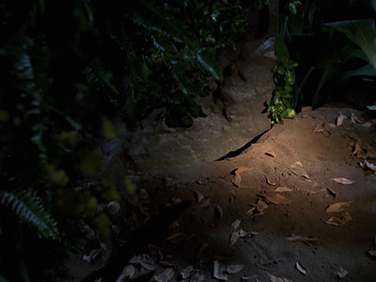 extant_StarTrek_VOY_7x22-NaturalLaw_1522.jpg