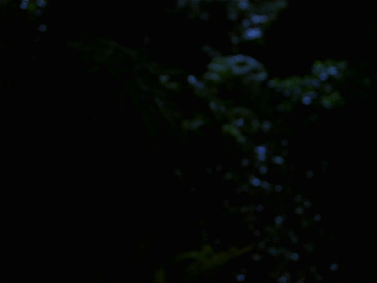extant_StarTrek_VOY_7x22-NaturalLaw_1530.jpg