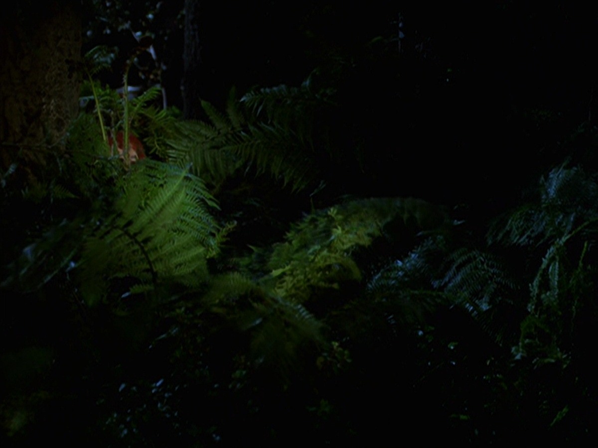 extant_StarTrek_VOY_7x22-NaturalLaw_1561.jpg