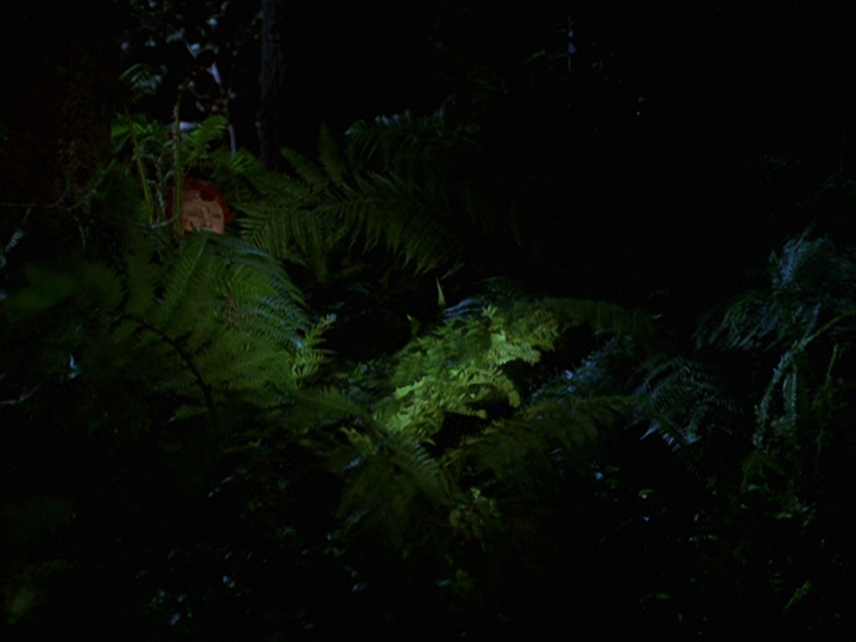 extant_StarTrek_VOY_7x22-NaturalLaw_1562.jpg
