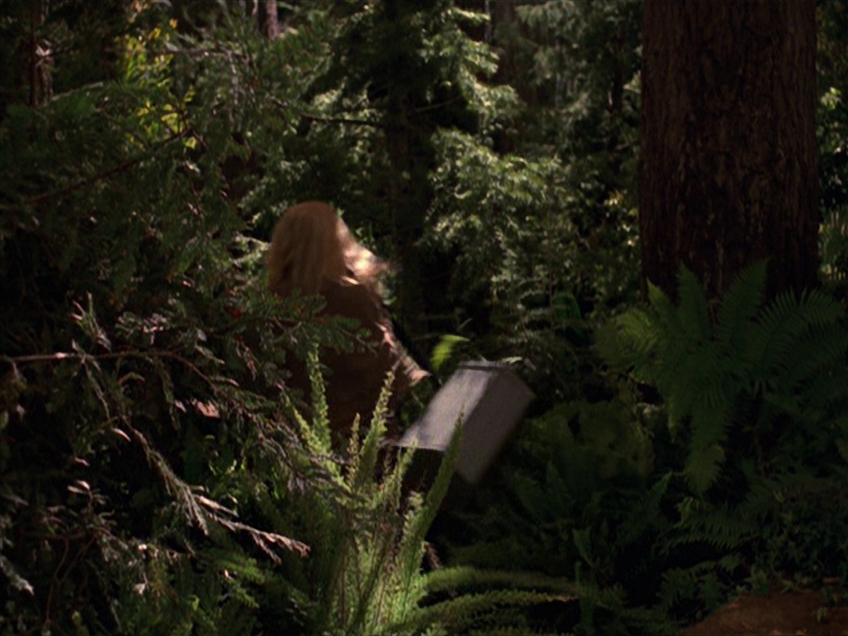 extant_StarTrek_VOY_7x22-NaturalLaw_1902.jpg