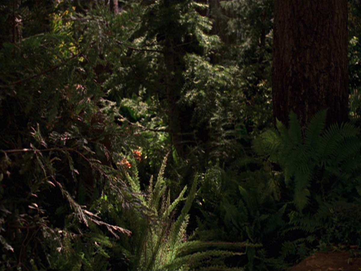 extant_StarTrek_VOY_7x22-NaturalLaw_1903.jpg