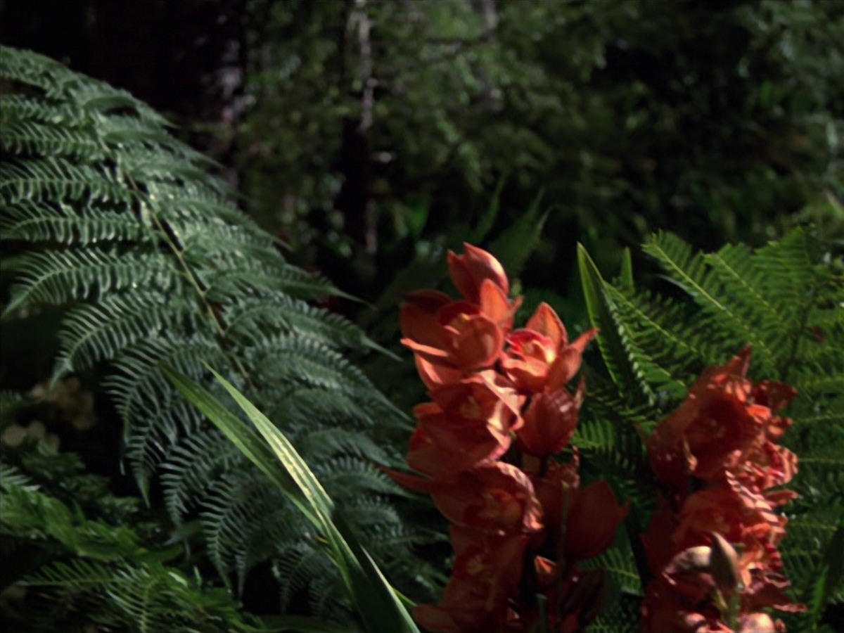 extant_StarTrek_VOY_7x22-NaturalLaw_1904.jpg