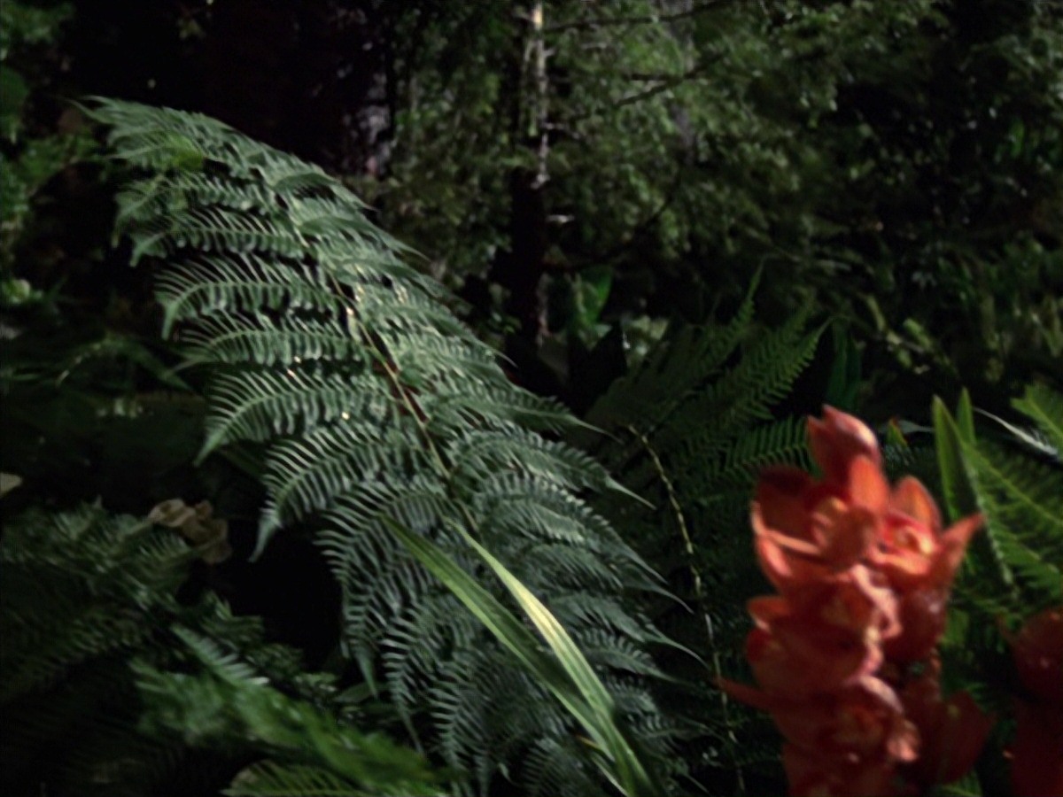 extant_StarTrek_VOY_7x22-NaturalLaw_1905.jpg