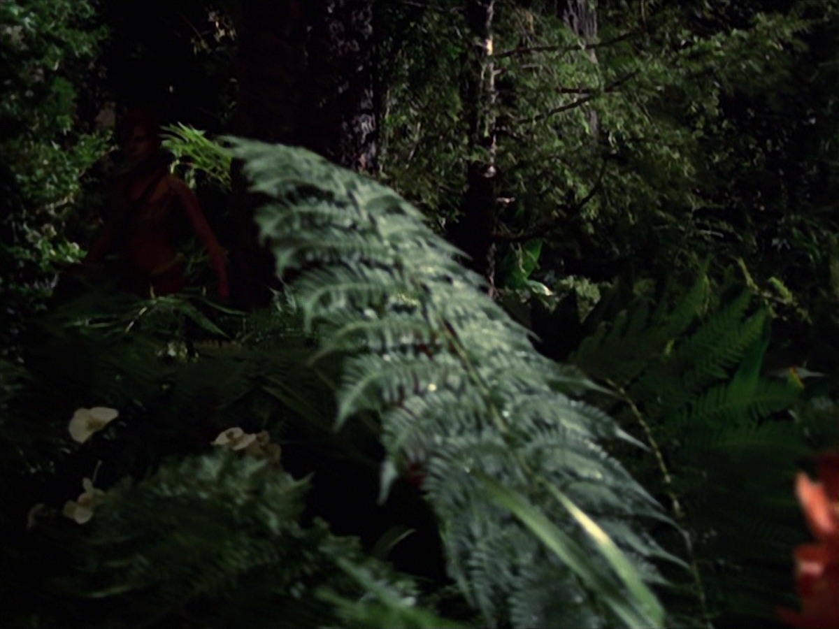extant_StarTrek_VOY_7x22-NaturalLaw_1906.jpg
