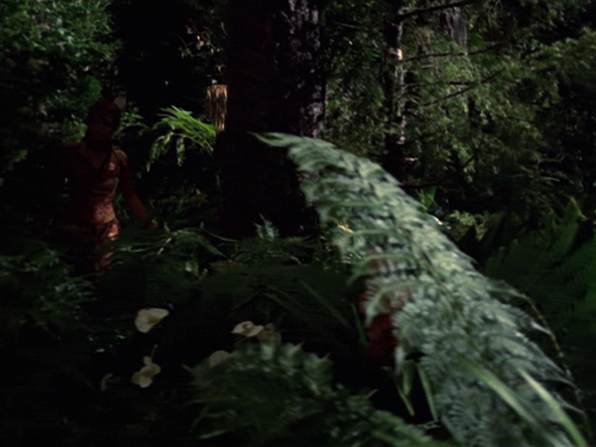 extant_StarTrek_VOY_7x22-NaturalLaw_1907.jpg