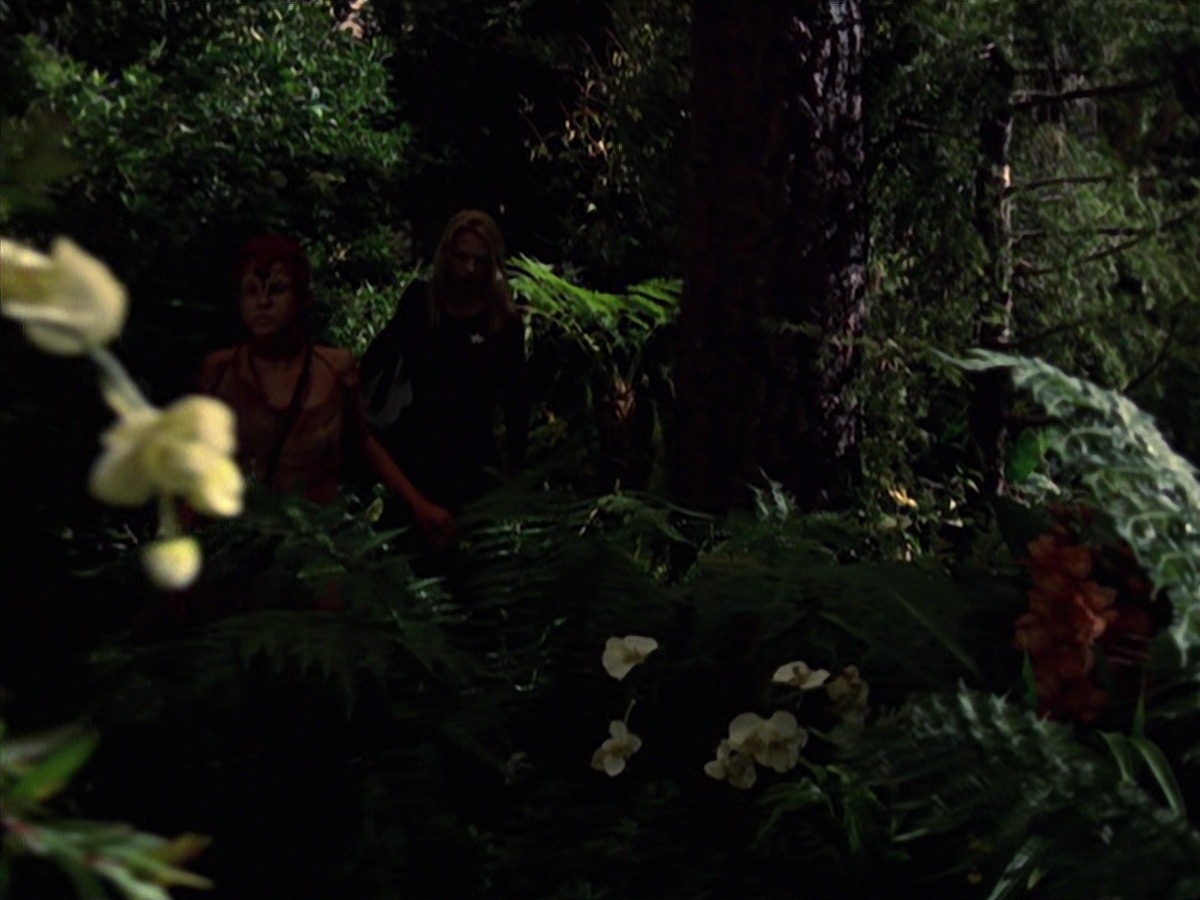 extant_StarTrek_VOY_7x22-NaturalLaw_1909.jpg