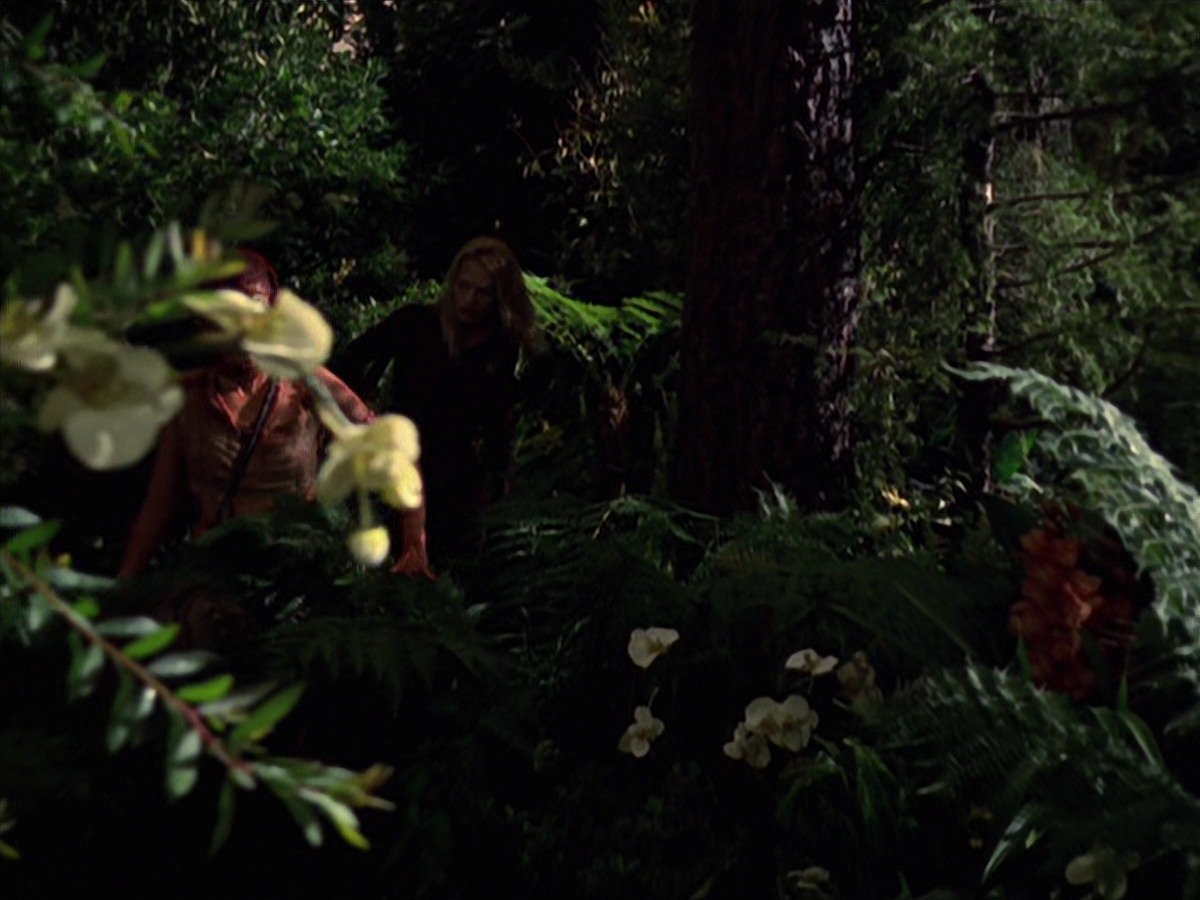 extant_StarTrek_VOY_7x22-NaturalLaw_1910.jpg