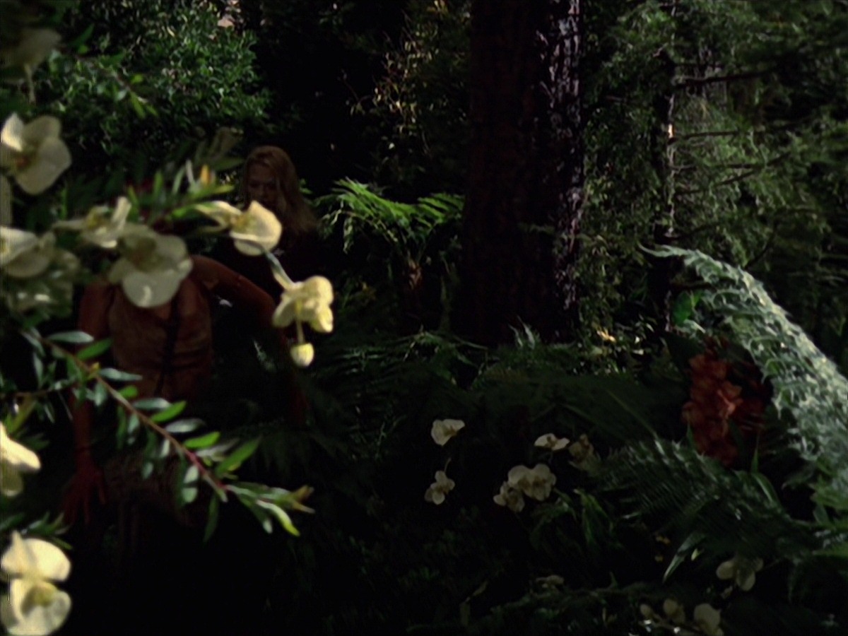 extant_StarTrek_VOY_7x22-NaturalLaw_1911.jpg