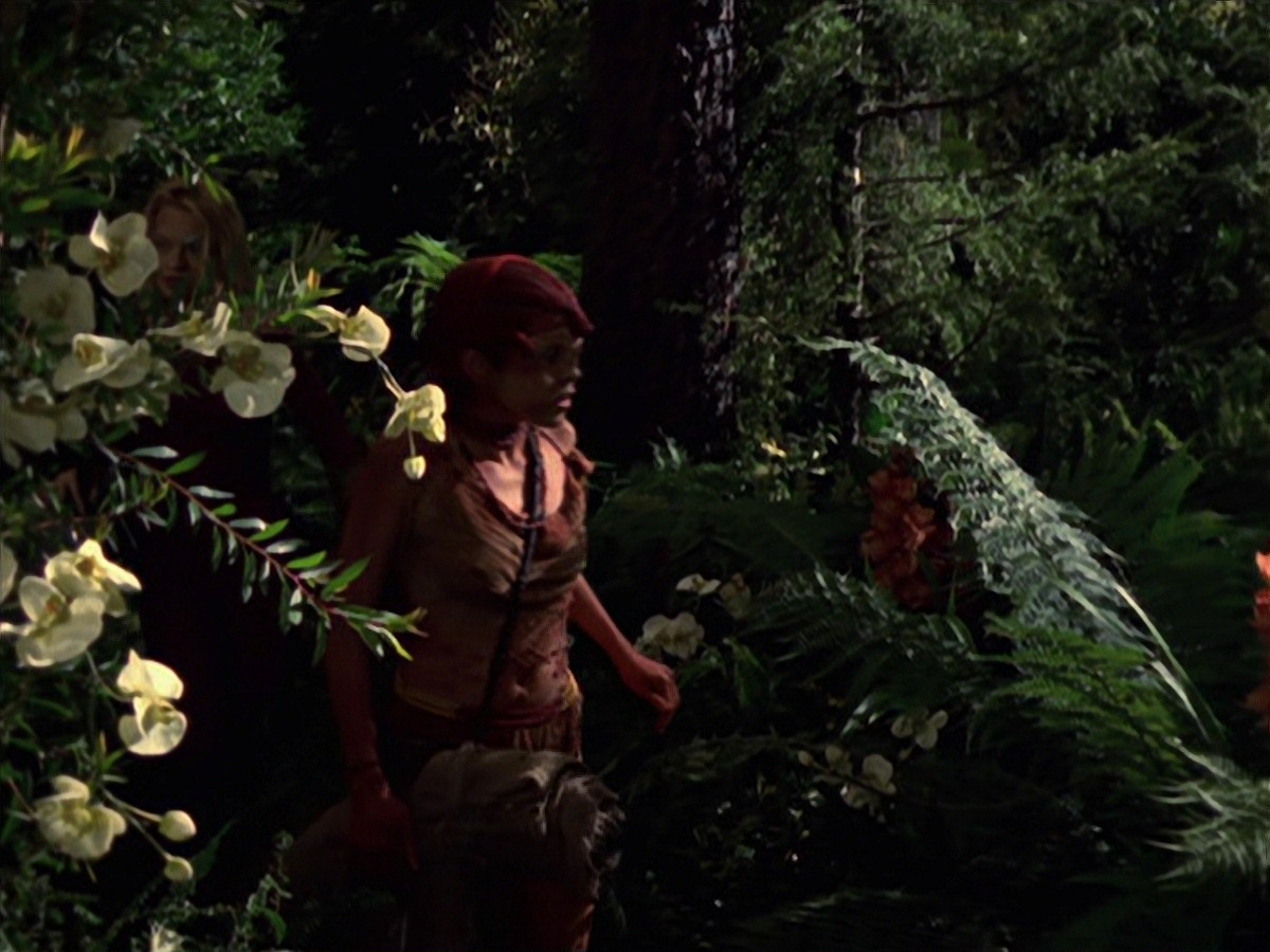 extant_StarTrek_VOY_7x22-NaturalLaw_1914.jpg
