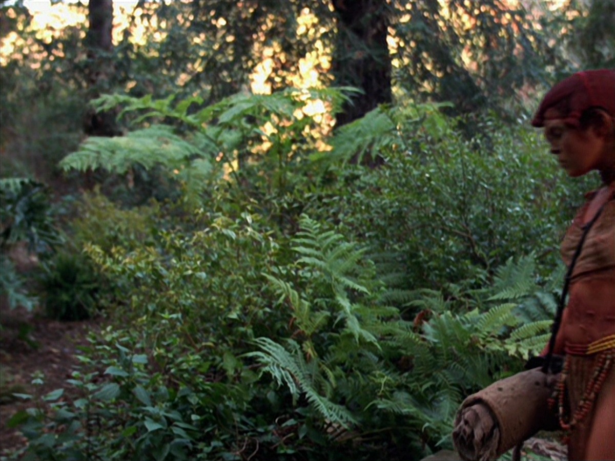 extant_StarTrek_VOY_7x22-NaturalLaw_2152.jpg
