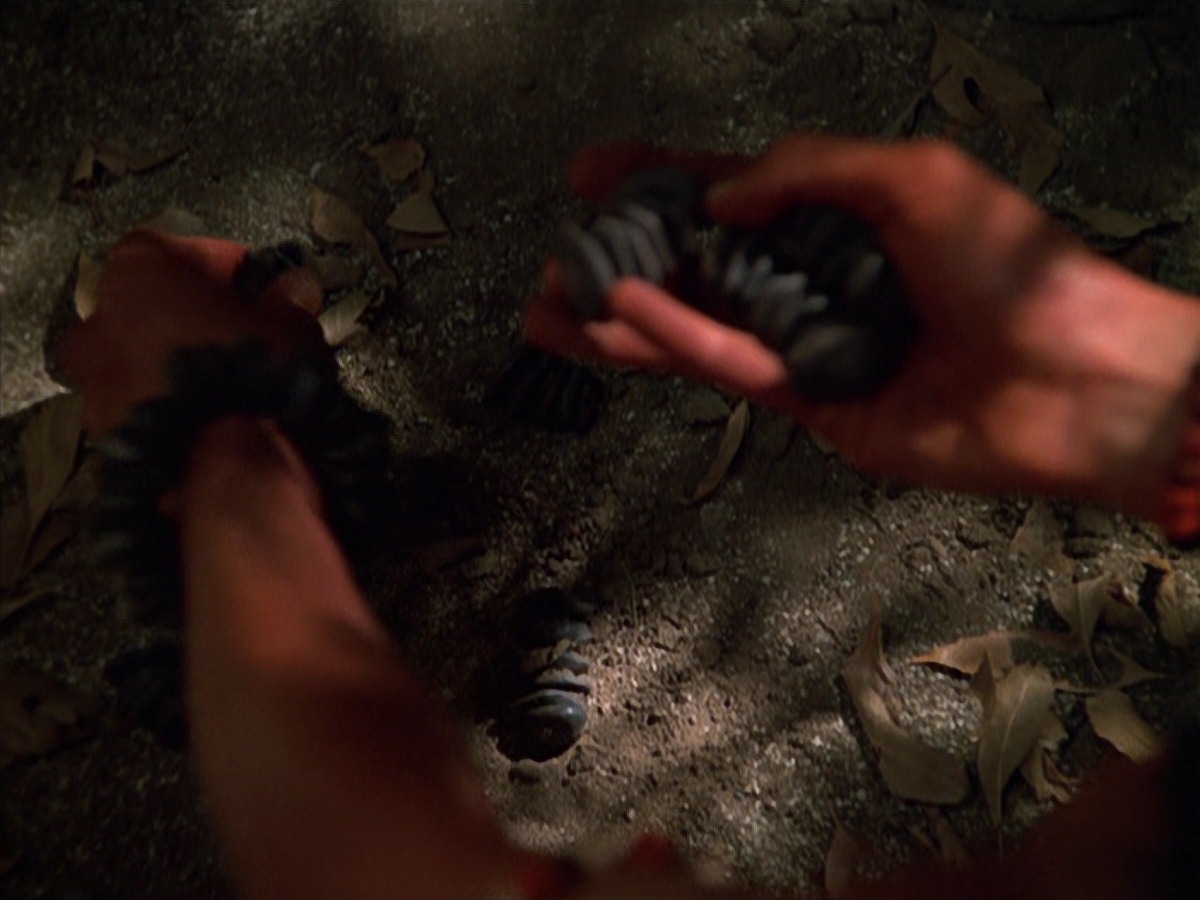extant_StarTrek_VOY_7x22-NaturalLaw_2444.jpg