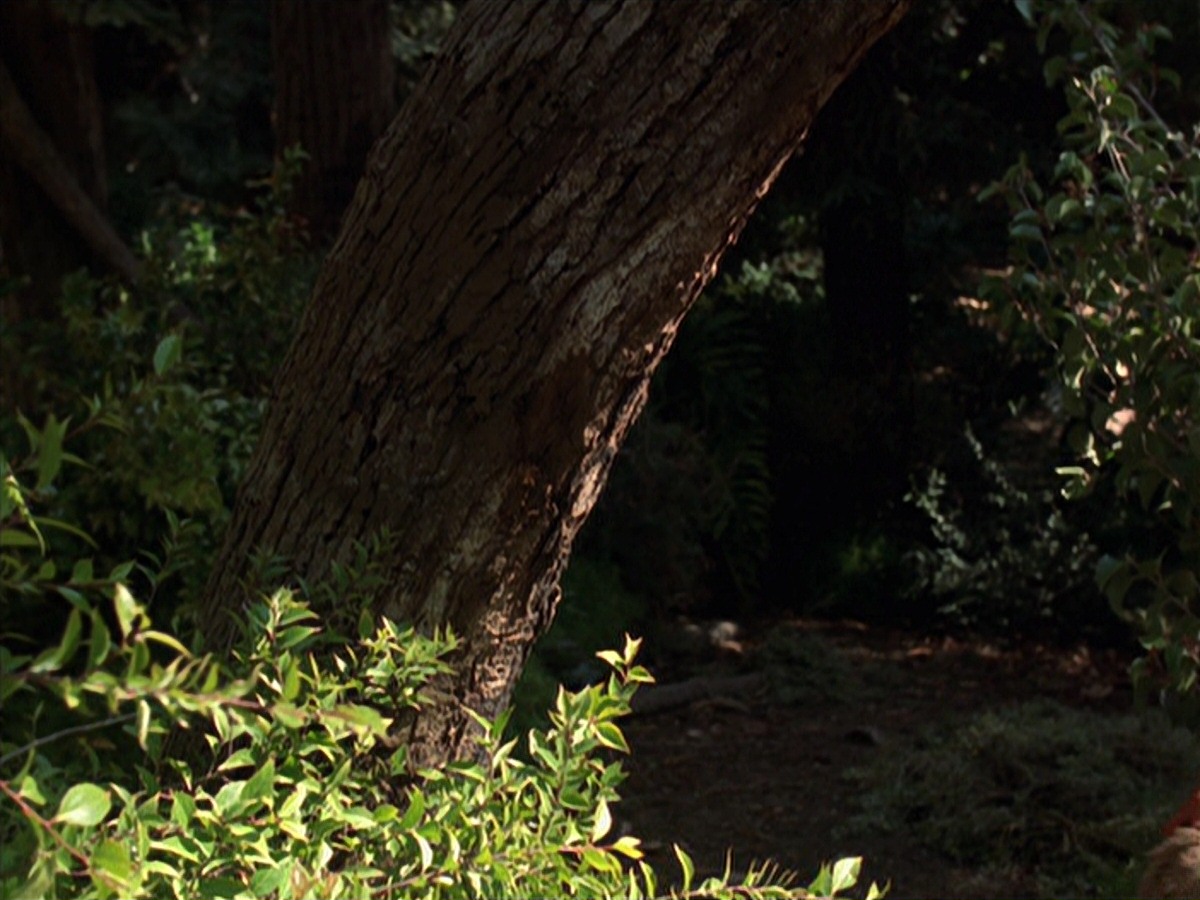 extant_StarTrek_VOY_7x22-NaturalLaw_2793.jpg