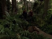 Filename=extant_StarTrek_VOY_7x22-NaturalLaw_0141.jpg
Filesize=220KiB
Dimensions=1200x900
Date added=Jan 16, 2020 extant_StarTrek_VOY_7x22-NaturalLaw_0141.jpg