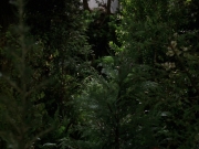 Filename=extant_StarTrek_VOY_7x22-NaturalLaw_0515.jpg
Filesize=202KiB
Dimensions=1200x900
Date added=Jan 16, 2020 extant_StarTrek_VOY_7x22-NaturalLaw_0515.jpg