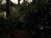 Filename=extant_StarTrek_VOY_7x22-NaturalLaw_0598.jpg
Filesize=151KiB
Dimensions=1200x900
Date added=Jan 16, 2020 extant_StarTrek_VOY_7x22-NaturalLaw_0598.jpg