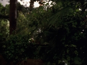 Filename=extant_StarTrek_VOY_7x22-NaturalLaw_0599.jpg
Filesize=170KiB
Dimensions=1200x900
Date added=Jan 16, 2020 extant_StarTrek_VOY_7x22-NaturalLaw_0599.jpg