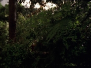 Filename=extant_StarTrek_VOY_7x22-NaturalLaw_0600.jpg
Filesize=185KiB
Dimensions=1200x900
Date added=Jan 16, 2020 extant_StarTrek_VOY_7x22-NaturalLaw_0600.jpg