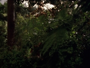 Filename=extant_StarTrek_VOY_7x22-NaturalLaw_0601.jpg
Filesize=197KiB
Dimensions=1200x900
Date added=Jan 16, 2020 extant_StarTrek_VOY_7x22-NaturalLaw_0601.jpg