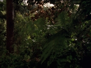 Filename=extant_StarTrek_VOY_7x22-NaturalLaw_0602.jpg
Filesize=201KiB
Dimensions=1200x900
Date added=Jan 16, 2020 extant_StarTrek_VOY_7x22-NaturalLaw_0602.jpg