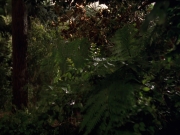 Filename=extant_StarTrek_VOY_7x22-NaturalLaw_0603.jpg
Filesize=198KiB
Dimensions=1200x900
Date added=Jan 16, 2020 extant_StarTrek_VOY_7x22-NaturalLaw_0603.jpg