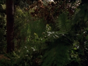 Filename=extant_StarTrek_VOY_7x22-NaturalLaw_0604.jpg
Filesize=197KiB
Dimensions=1200x900
Date added=Jan 16, 2020 extant_StarTrek_VOY_7x22-NaturalLaw_0604.jpg