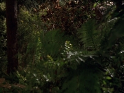 extant_StarTrek_VOY_7x22-NaturalLaw_0605.jpg
